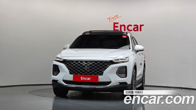 Hyundai Santa Fe (TM) Diesel 2.0 2WD Exclusive Special 2019 — фото 3