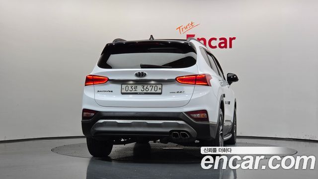 Hyundai Santa Fe (TM) Diesel 2.0 2WD Exclusive Special 2019 — фото 4