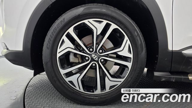 Hyundai Santa Fe (TM) Diesel 2.0 2WD Exclusive Special 2019 — фото 5