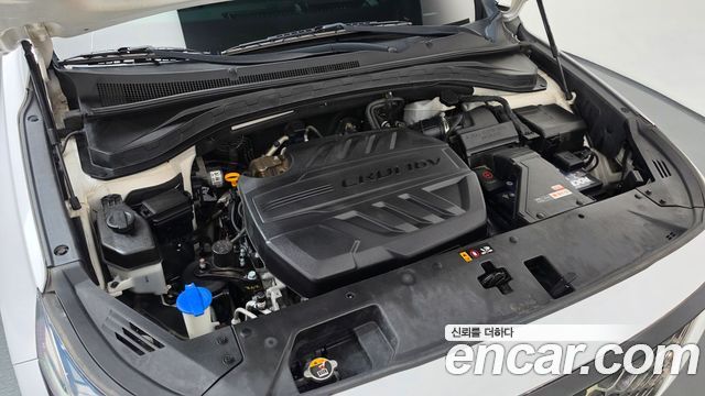 Hyundai Santa Fe (TM) Diesel 2.0 2WD Exclusive Special 2019 — фото 6