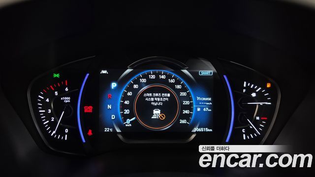 Hyundai Santa Fe (TM) Diesel 2.0 2WD Exclusive Special 2019 — фото 8