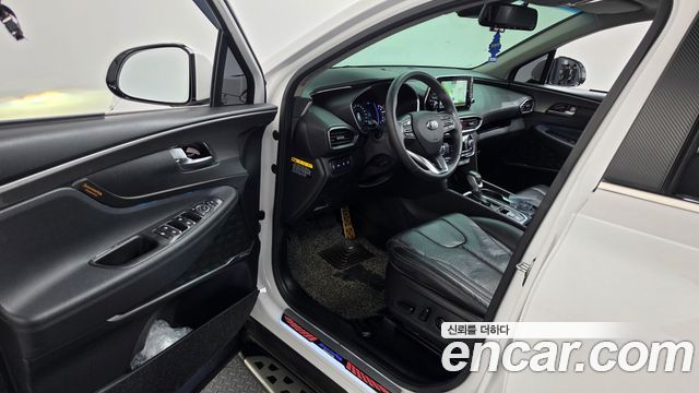 Hyundai Santa Fe (TM) Diesel 2.0 2WD Exclusive Special 2019 — фото 10
