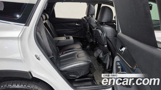 Hyundai Santa Fe (TM) Diesel 2.0 2WD Exclusive Special 2019 — фото 11