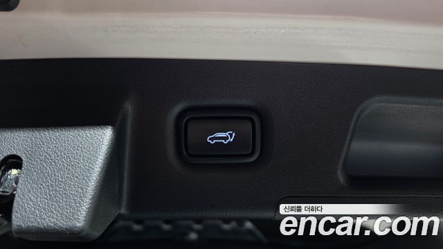 Hyundai Santa Fe (TM) Diesel 2.0 2WD Exclusive Special 2019 — фото 20