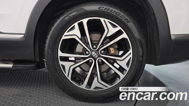 Hyundai Santa Fe (TM) Diesel 2.0 2WD Exclusive Special 2019 — фото 21