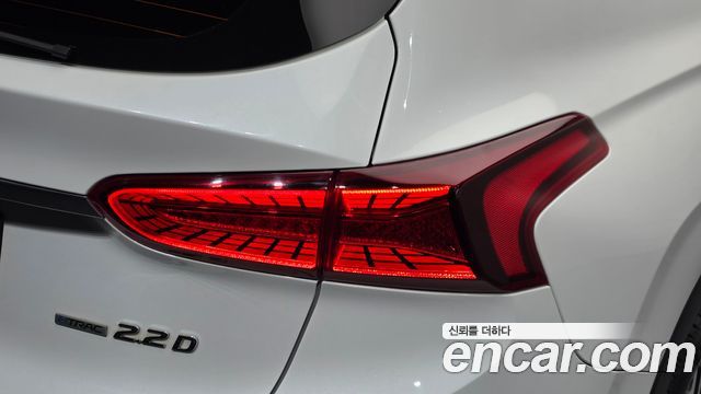 Hyundai Santa Fe (TM) Diesel 2.0 2WD Exclusive Special 2019 — фото 23