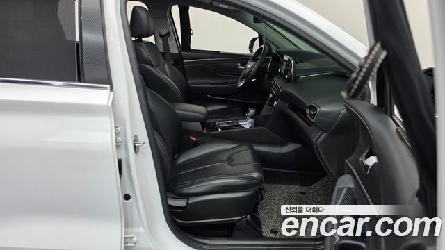 Hyundai Santa Fe (TM) Diesel 2.0 2WD Exclusive Special 2019 — фото 26