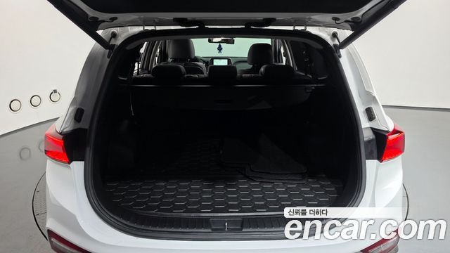 Hyundai Santa Fe (TM) Diesel 2.0 2WD Exclusive Special 2019 — фото 27
