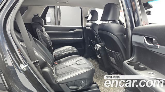 Hyundai Palisade Diesel 2.2 4WD Exclusive 2019 — фото 11
