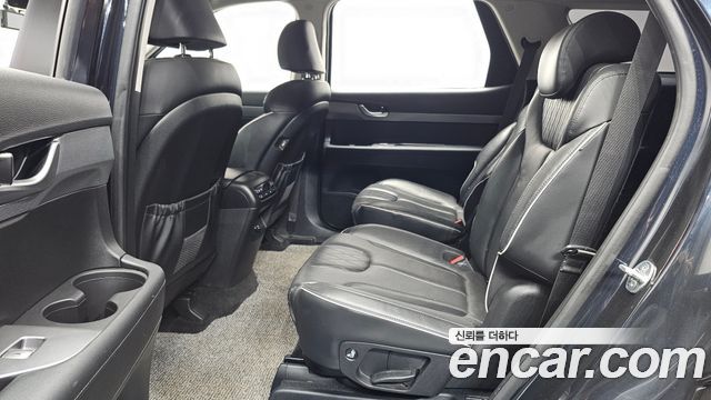 Hyundai Palisade Diesel 2.2 4WD Exclusive 2019 — фото 12