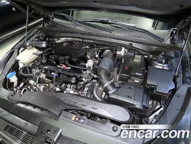 Kia K5 (III) 1.6 Turbo Signature 2020 — фото 22