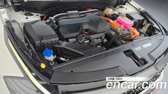 Kia Sportage Hybrid (V) Signature Gravity 2WD 2022 — фото 6