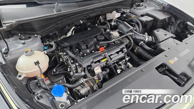Kia Sportage (V) Gasoline 1.6 Turbo 2WD Nobleless 2024 — фото 6