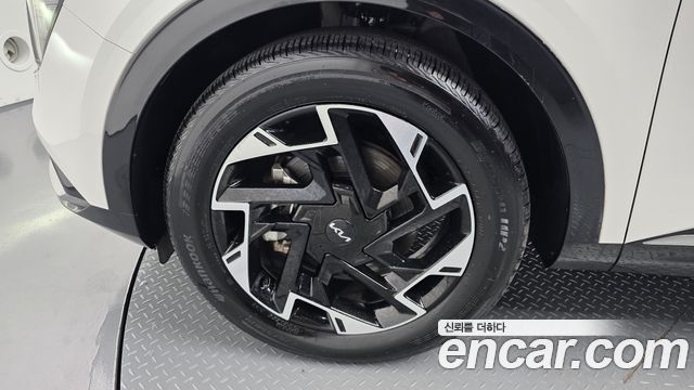 Kia Sportage (V) Gasoline 1.6 Turbo 2WD Nobleless 2024 — фото 5