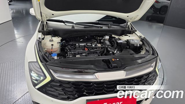 Kia Sportage (V) Gasoline 1.6 Turbo 2WD Nobleless 2024 — фото 6