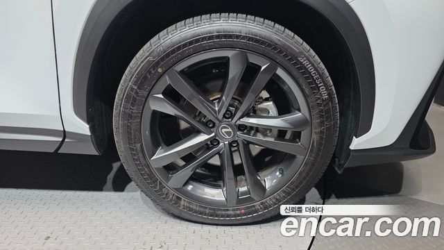 Lexus NX350h (II) Premium 2026 — фото 21