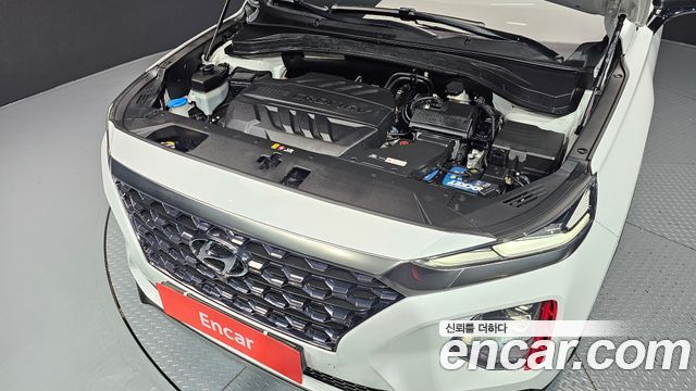 Hyundai Santa Fe (TM) Diesel 2.0 2WD Prestige 2019 — фото 6