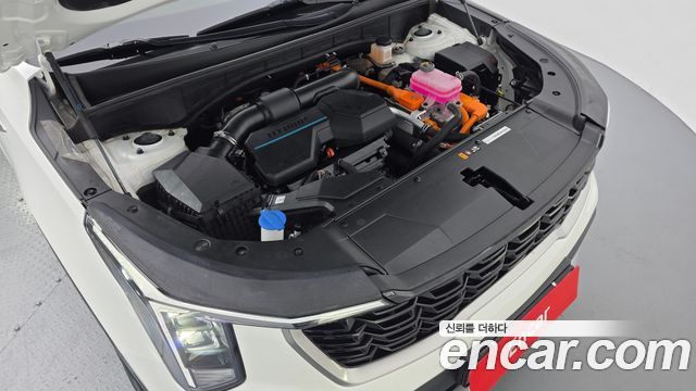 Kia Sorento (IV) HEV 1.6 2WD Prestige 2025 — фото 6