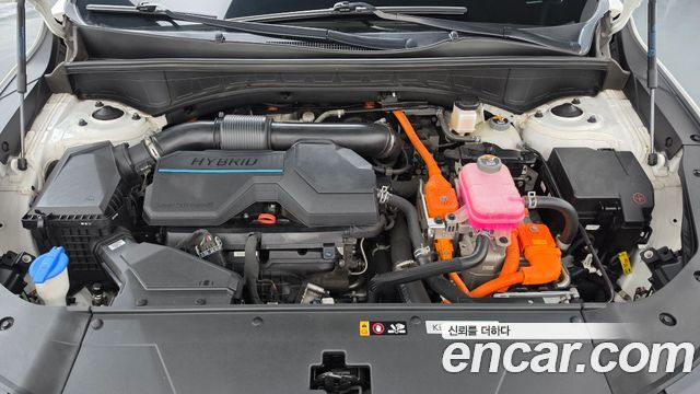 Kia Sorento (IV) HEV 1.6 4WD Gravity 2024 — фото 6