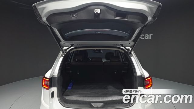 Renault Korea QM6 2.0 LPe RE Signature 2WD 2020 — фото 24