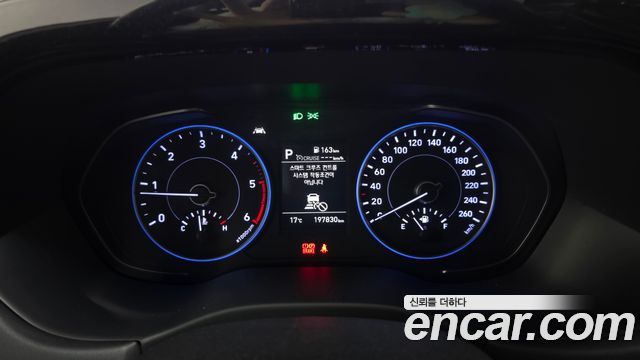 Hyundai Palisade Diesel 2.2 4WD Exclusive 2019 — фото 8