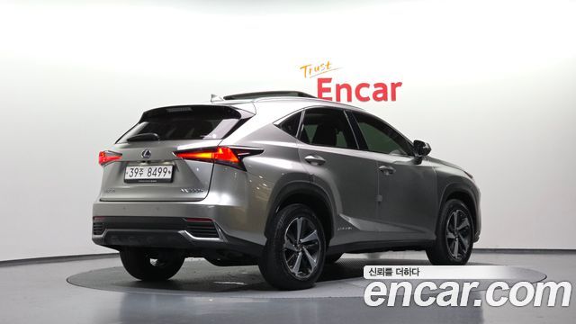 Lexus NX300h Supreme 2019 — фото 2