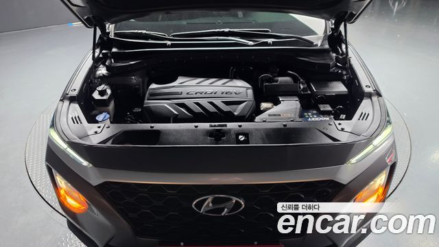 Hyundai Santa Fe (TM) Diesel 2.0 2WD Exclusive 2019 — фото 6