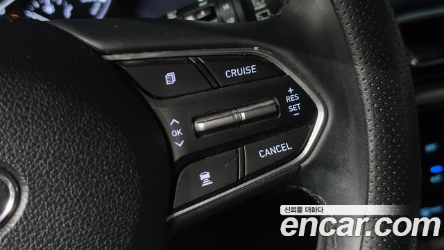 Hyundai Santa Fe (TM) Diesel 2.0 2WD Exclusive 2019 — фото 14