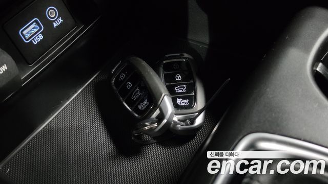 Hyundai Santa Fe (TM) Diesel 2.0 2WD Exclusive 2019 — фото 30