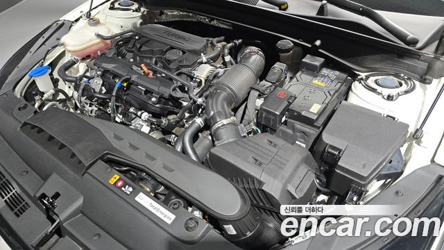 Kia K5 (III) 1.6 Turbo Prestige 2025 — фото 6