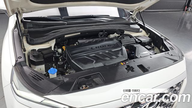 Hyundai Santa Fe (TM) Diesel 2.2 4WD Exclusive 2020 — фото 6