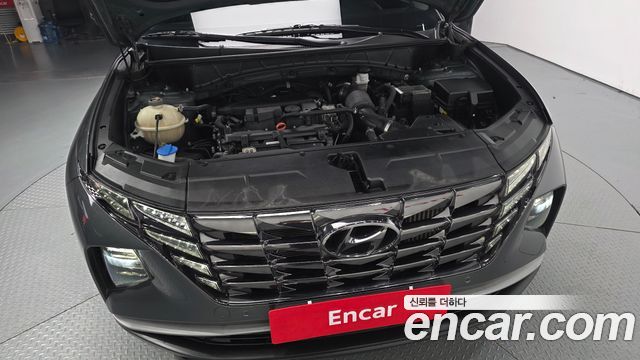 Hyundai Tucson (NX4) Gasoline 1.6 Turbo 2WD Premium 2023 — фото 6