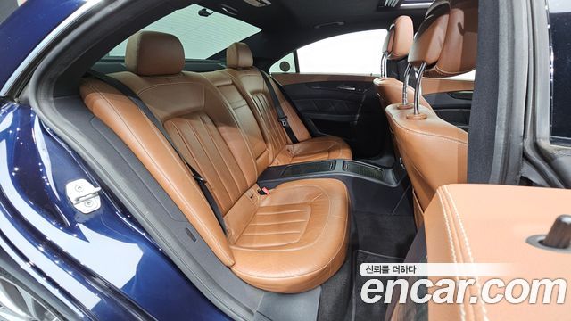 Mercedes-Benz CLS-Class (W218) CLS250 Bluetec 4MATIC 2015 — фото 11