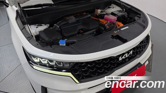 Kia Sorento (IV) HEV 1.6 4WD Noblesse 2023 — фото 6
