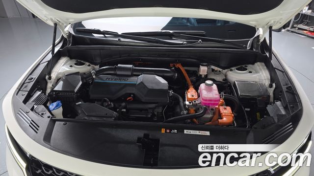 Kia Sorento (IV) HEV 1.6 2WD Gravity 2023 — фото 6