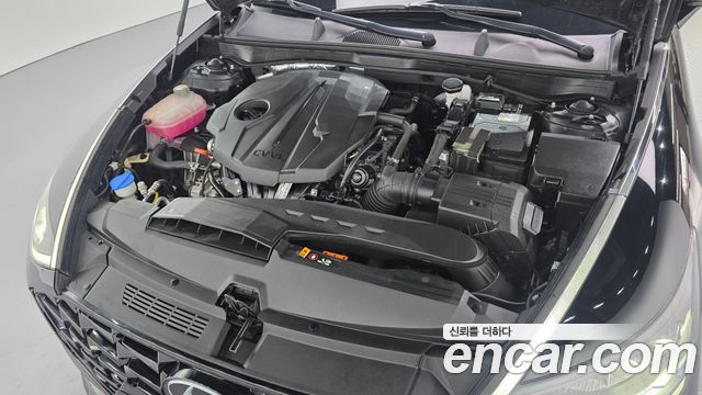 Hyundai Sonata (DN8) 2.0 Premium Plus 2023 — фото 6