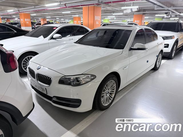BMW 5 Series (F10) 520d