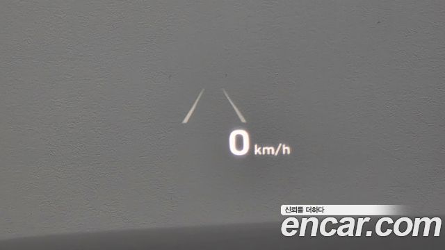 Hyundai Palisade Diesel 2.2 2WD Prestige 2020 — фото 11