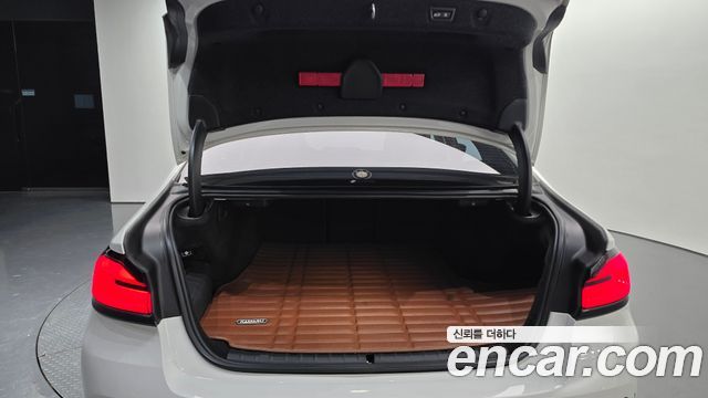 BMW 5 Series (G30) 530e Luxury 2021 — фото 30