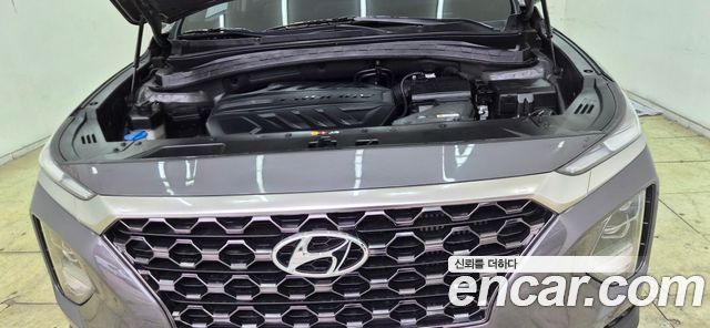 Hyundai Santa Fe (TM) Diesel 2.0 2WD Exclusive Special 2019 — фото 6