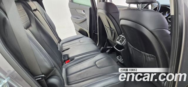 Hyundai Santa Fe (TM) Diesel 2.0 2WD Exclusive Special 2019 — фото 15