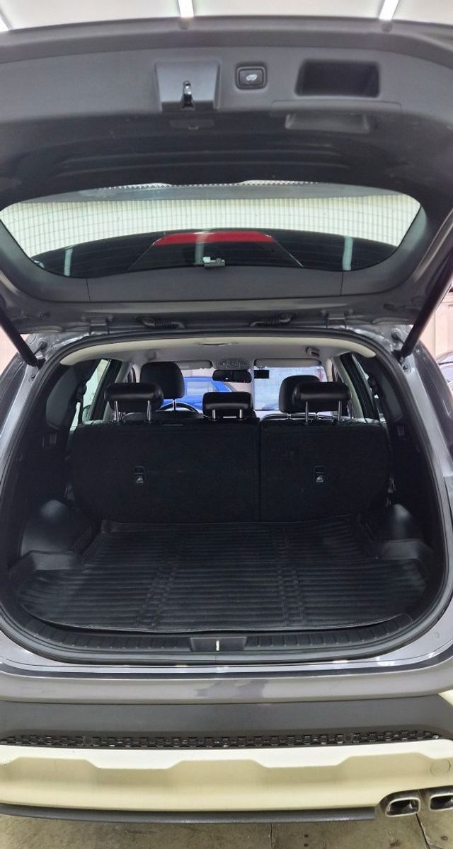 Hyundai Santa Fe (TM) Diesel 2.0 2WD Exclusive Special 2019 — фото 22