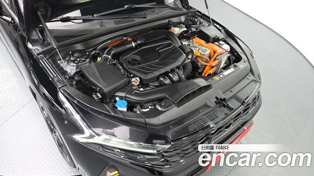 Kia K5 Hybrid (III) Trendy 2023 — фото 6
