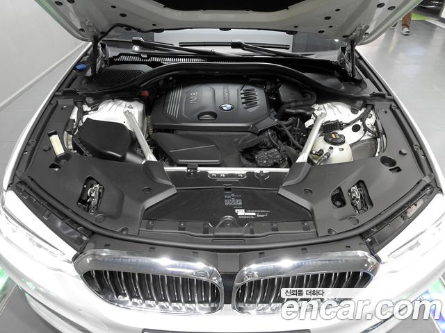 BMW 5 Series (G30) 520d Luxury Special Edition 2018 — фото 6