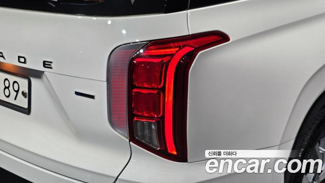 Hyundai Palisade Diesel 2.2 4WD Exclusive 2019 — фото 23