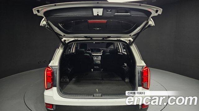 Hyundai Palisade Diesel 2.2 4WD Exclusive 2019 — фото 34